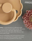 FRIGG Daisy Full Color Natural Rubber Pacifier
