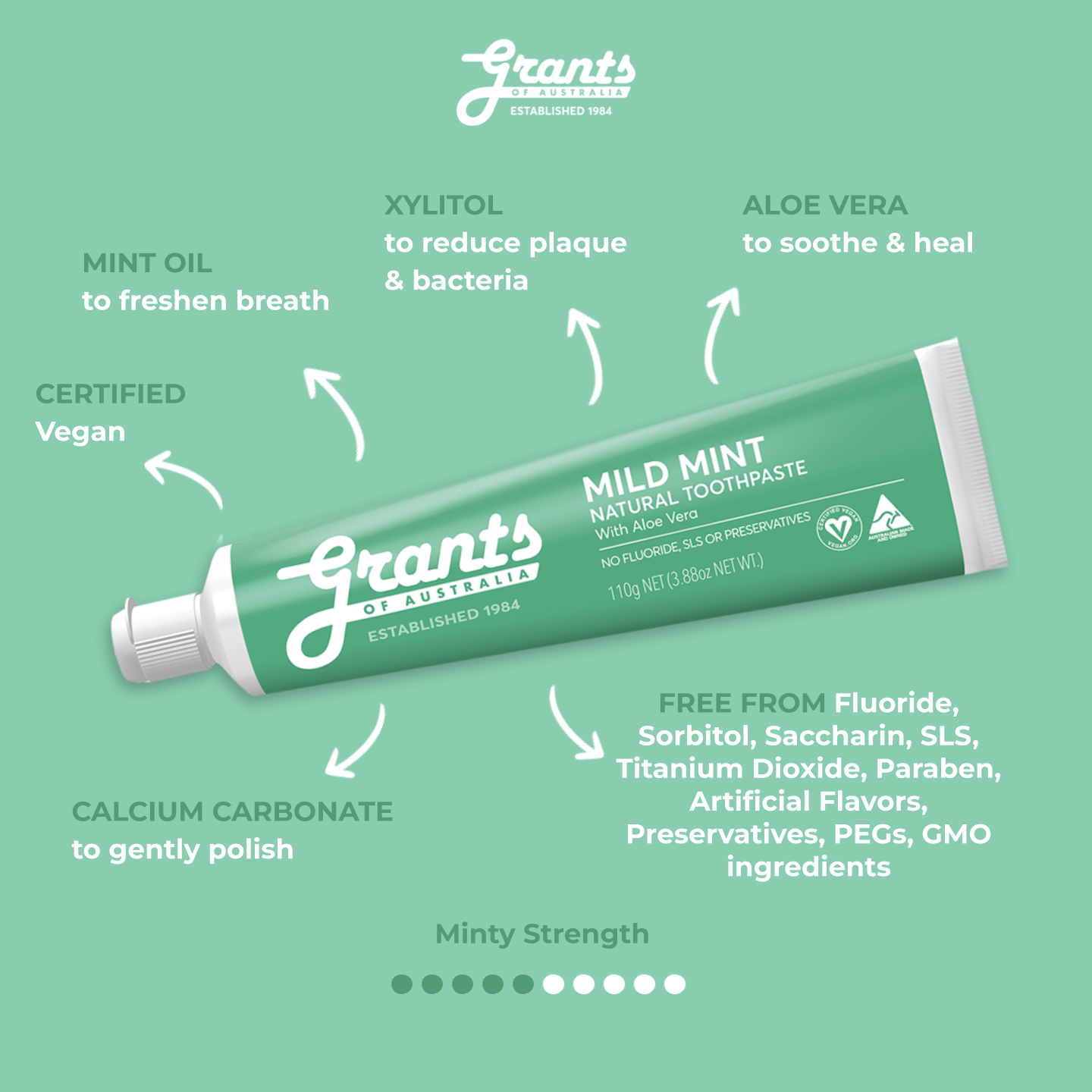 Grants Natural Toothpaste MILD MINT (Fluoride Free) 110g
